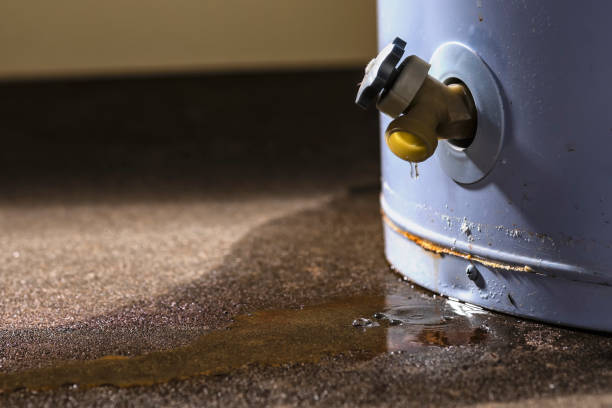 Best 24/7 water damage repair  in Cotter, AR