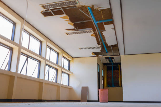 Best Mold removal after water damage  in Cotter, AR