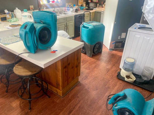 Best Water damage restoration near me  in Cotter, AR