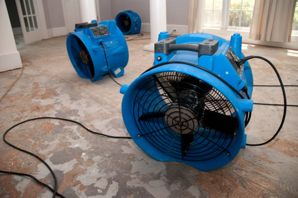 Best Sewage cleanup and water damage restoration  in Cotter, AR