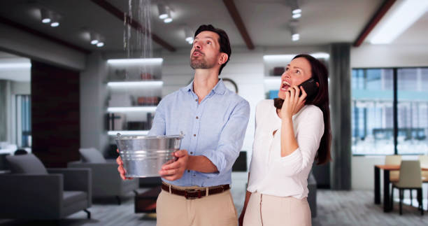 Best Professional water damage repair  in Cotter, AR