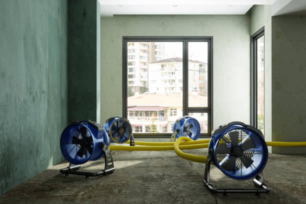 Best Basement water damage restoration  in Cotter, AR