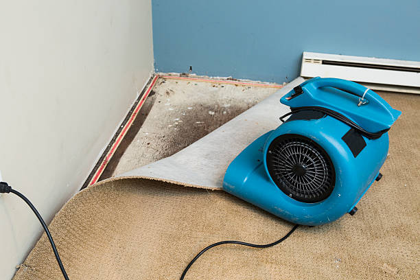 Best 24-hour water damage restoration  in Cotter, AR
